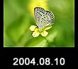 2004.08.10