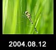 2004.08.12