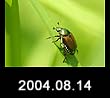 2004.08.14