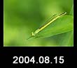 2004.08.15