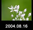2004.08.16