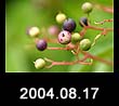2004.08.17