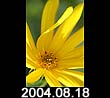 2004.08.18