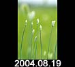 2004.08.19