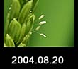 2004.08.20