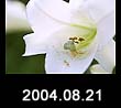2004.08.21