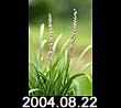 2004.08.22