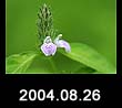 2004.08.26