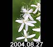 2004.08.27