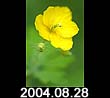 2004.08.28