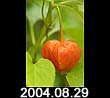 2004.08.29