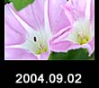 2004.09.02