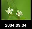 2004.09.04