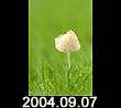 2004.09.07