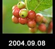 2004.09.08