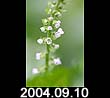 2004.09.10