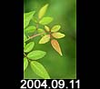 2004.09.11