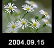 2004.09.15
