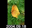 2004.09.18