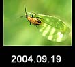 2004.09.19