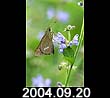 2004.09.20