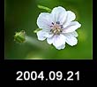 2004.09.21