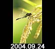 2004.09.24
