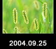 2004.09.25