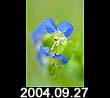 2004.09.27