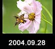 2004.09.28