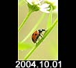2004.10.01