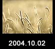 2004.10.02