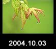 2004.10.03