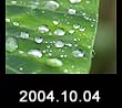 2004.10.04