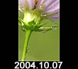 2004.10.07