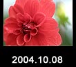 2004.10.08