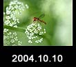 2004.10.10
