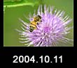 2004.10.11