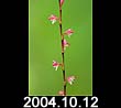2004.10.12