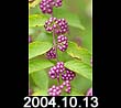 2004.10.13
