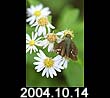 2004.10.14