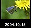 2004.10.15