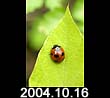 2004.10.16