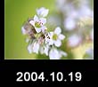 2004.10.19