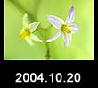 2004.10.20