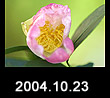 2004.10.23