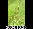 2004.10.25