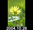 2004.10.26