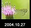 2004.10.27