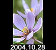 2004.10.28